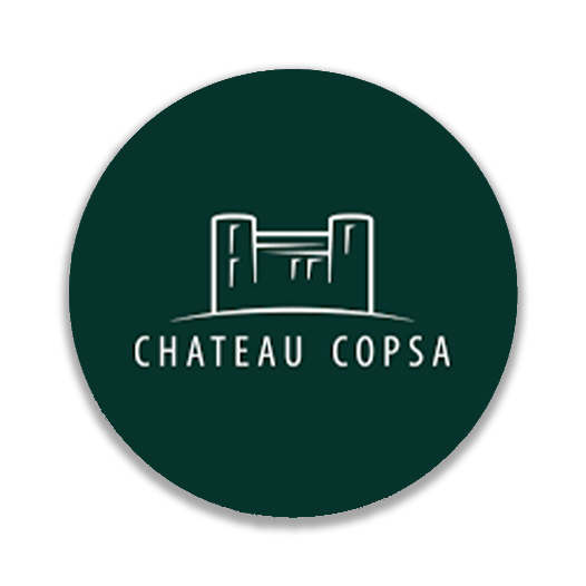 Chateau_Copsa